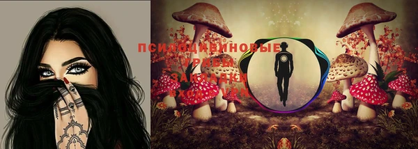 хмурый Нея