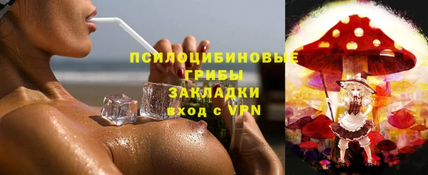 хмурый Нея