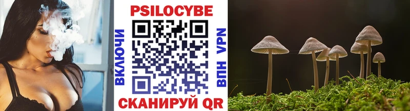Псилоцибиновые грибы мухоморы  Черемхово 